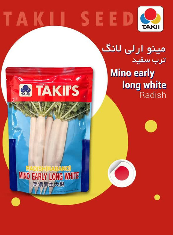 بذر ترب سفید تاکی