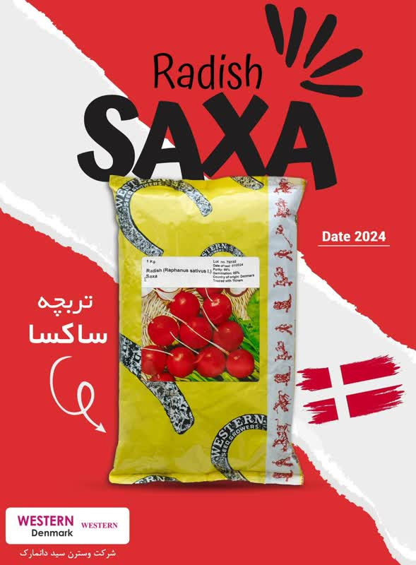 بذر تربچه نقلی