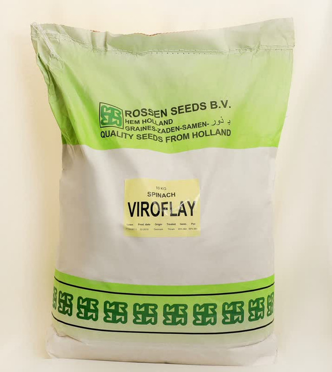 بذر اسفناج ویروفلای روزن سید