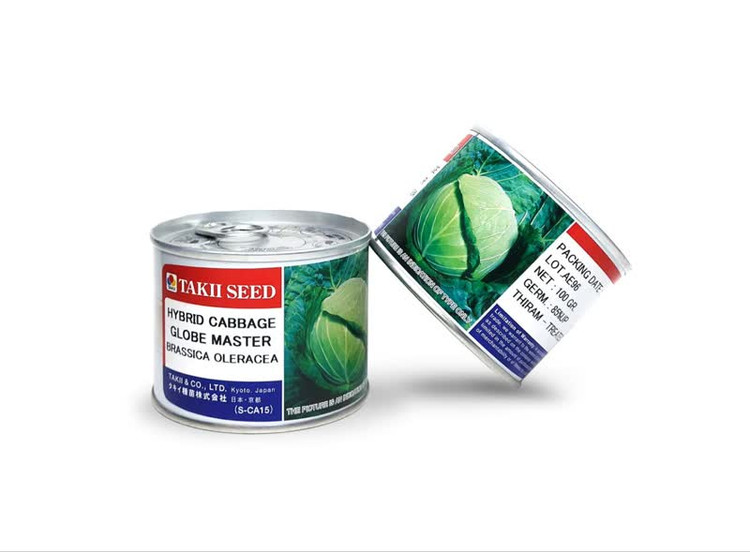 بذر کلم پیچ هیبرید گلوب مستر تاکی