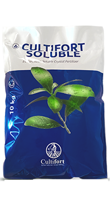 کود فسفر بالا و ریشه زا - کالتیفورت اسپانیا