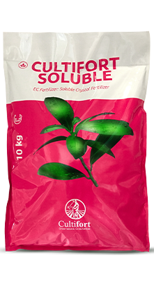 کود کالتیفورت اسپانیا