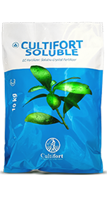 کود پتاس بالا و گلدهی کالتیفورت اسپانیا