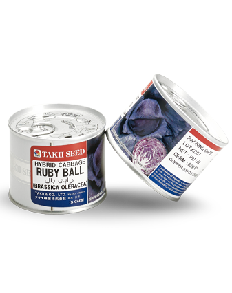 بذر کلم قرمز روبی بال