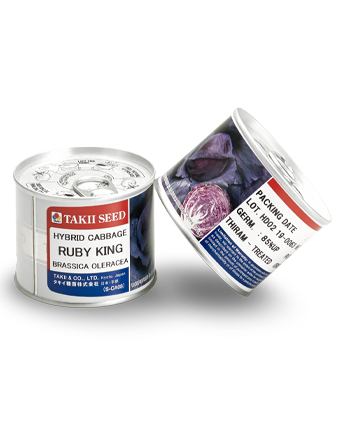 کلم قرمز روبی کینگ