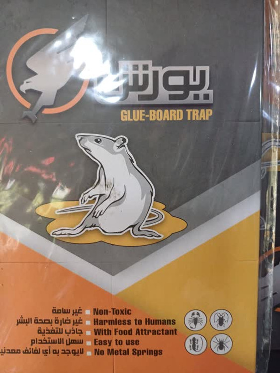 تله و چسب موش