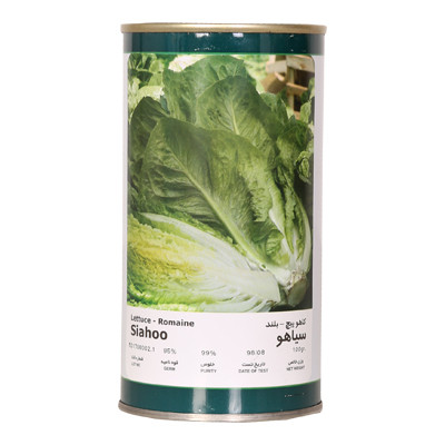 بذر کاهو پیچ بلند سیاهو