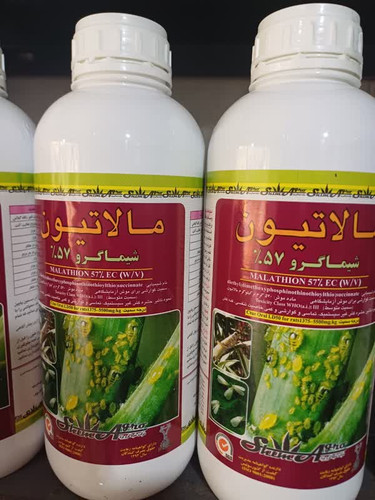 شته کش و کنه کش