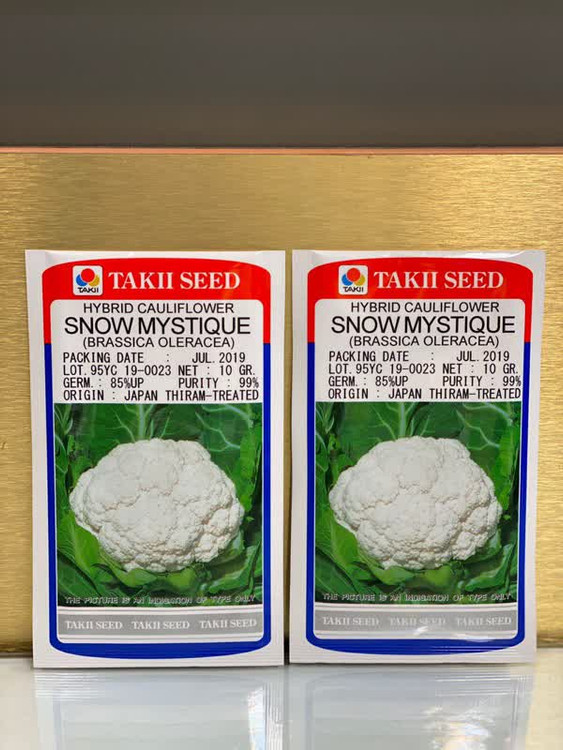 بذر گل کلم اسنومایستسک تاکی 120 روزه