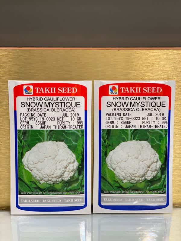 بذر گل کلم اسنومایستسک تاکی 120 روزه