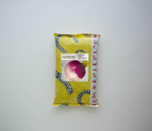 بذر شلغم دانمارکی