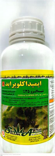 سم شته کنفیدور