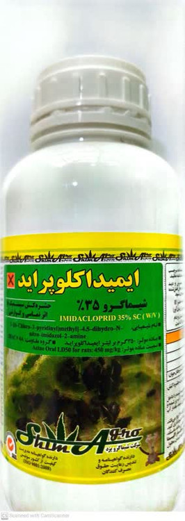 سم شته کنفیدور