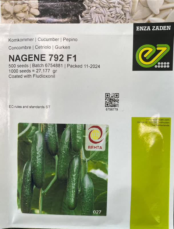 بذر خیار گلخانه ای ناگین