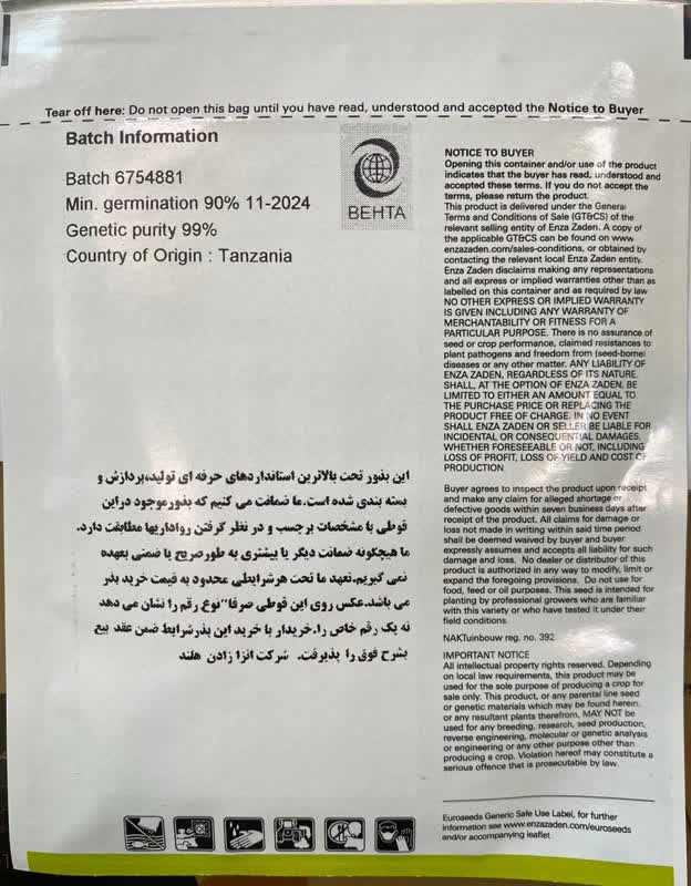 محصول انزازادن