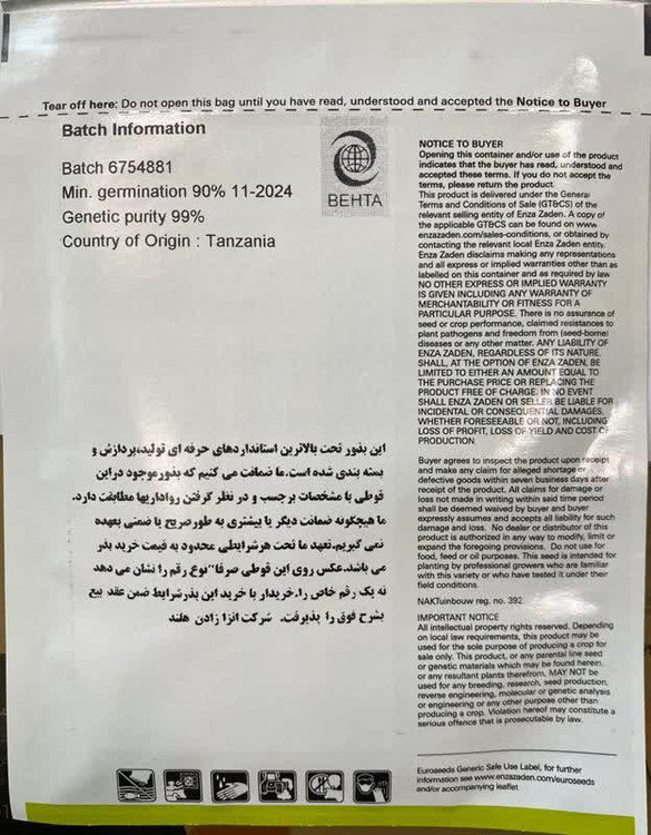 محصول انزازادن