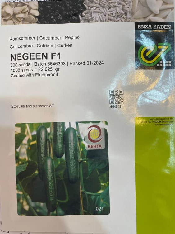 بذر خیار گلخانه ای نگین