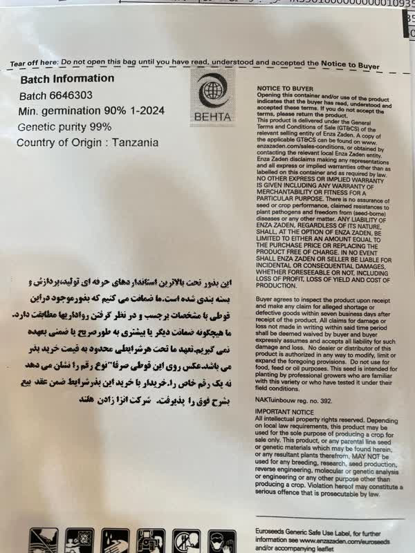 خیار نگین