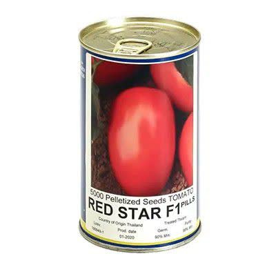 بذر گوجه فرنگی رد استار هلند