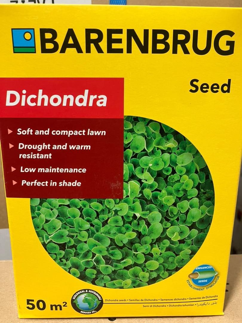 بذر شبدر زینتی دایکوندرا