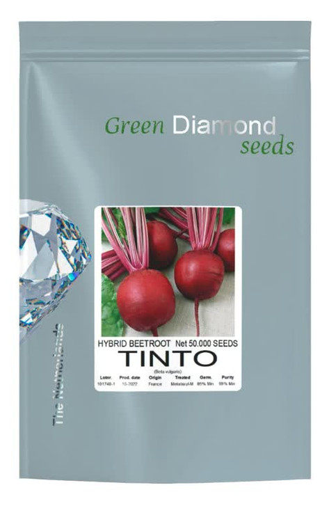 بذر چغندر لبو تینتو