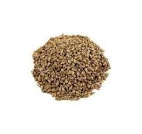 بذر سیب