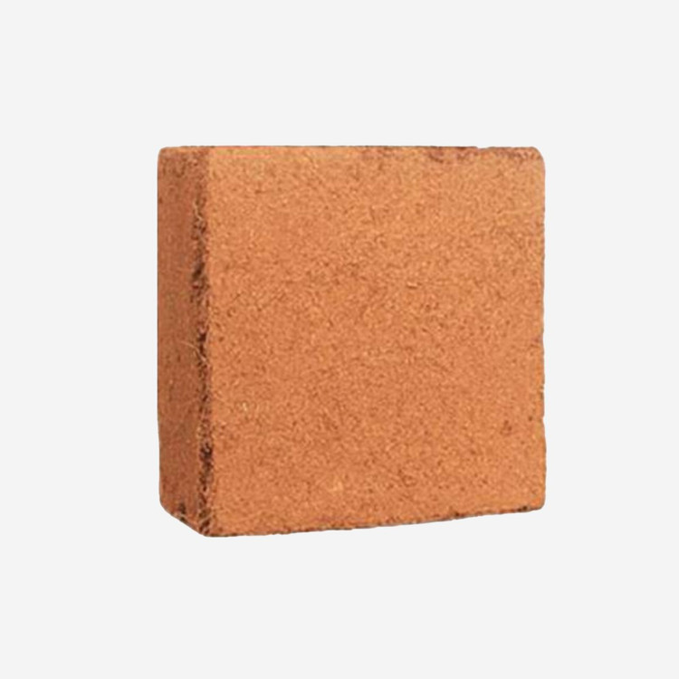 کوکوپیت سریلانکا