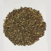 بذر سرو خمره ای