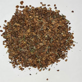 بذر سرو نقره ای