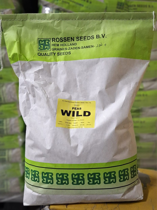 بذر نخود فرنگی روزن سید هلند