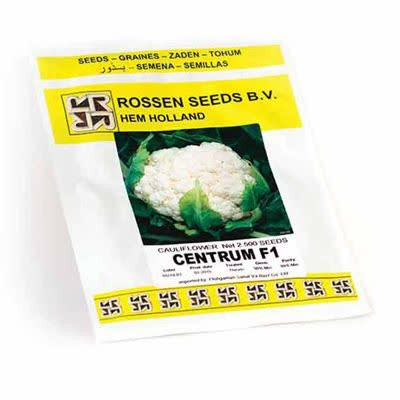 بذر گل کلم سنتروم