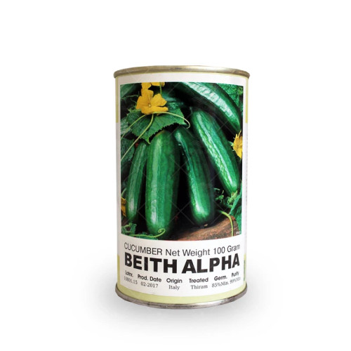 بذر خیار روزن سید هلند