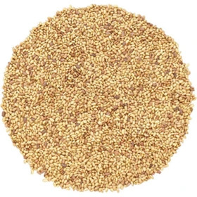 بذر یونجه همدانی