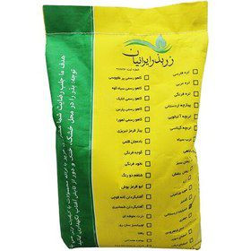 بذر لوبیا سبز سان ری