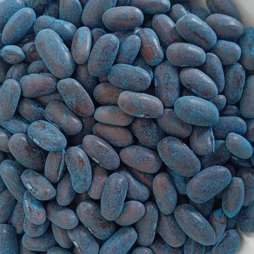 بذر لوبیا سبز