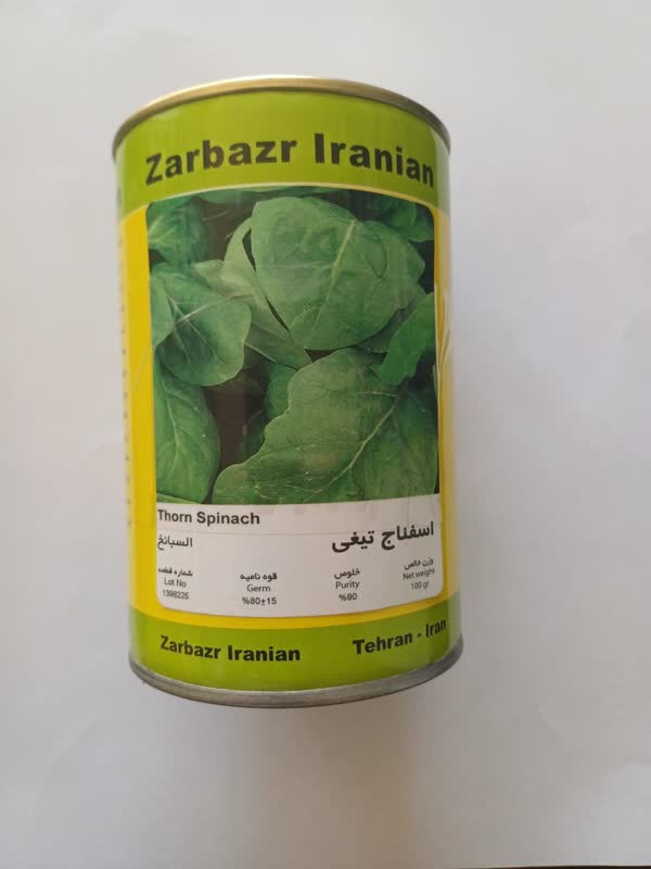 بذر اسفناج