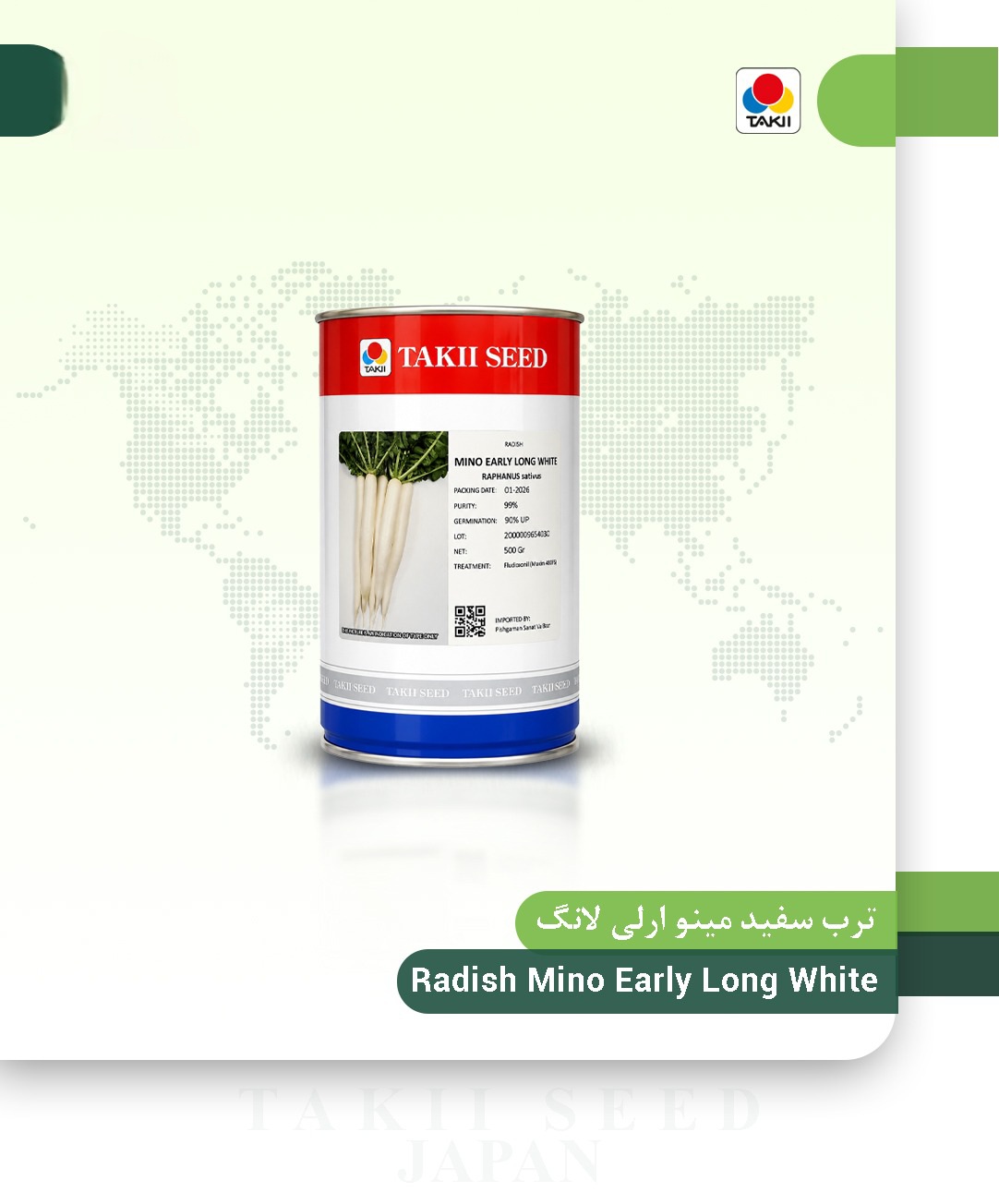 بذر ترب سفید 